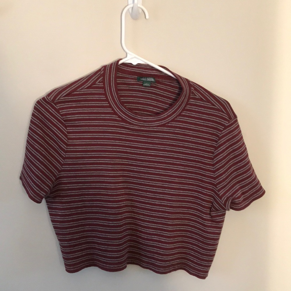 wild fable crop top